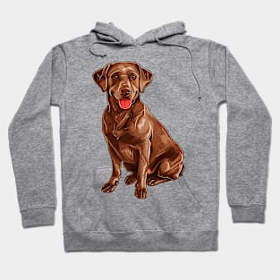 Valentine Labrador Retriever Shaped Chocolate Hoodie